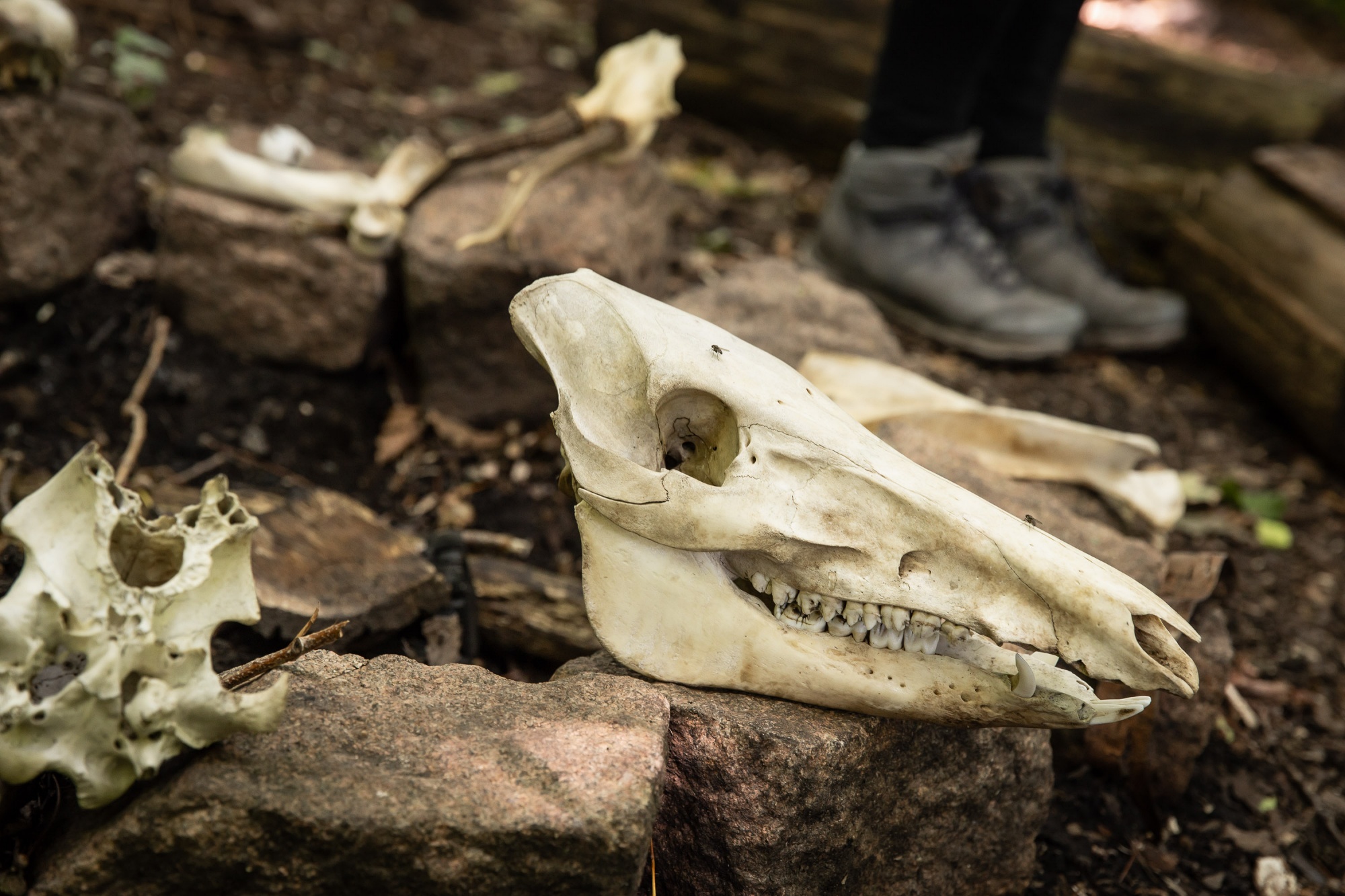 240708 Jc24 Nabu Salzgitter 0459