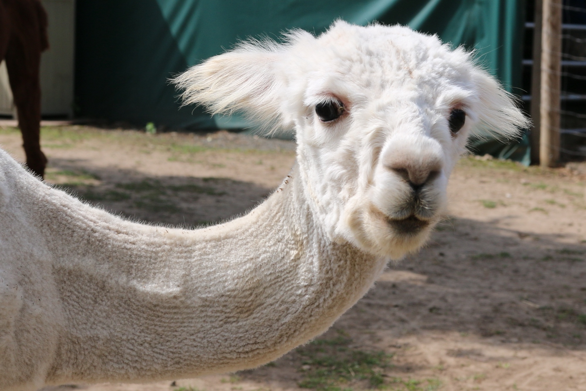 Foto: Jörg Zimmermann