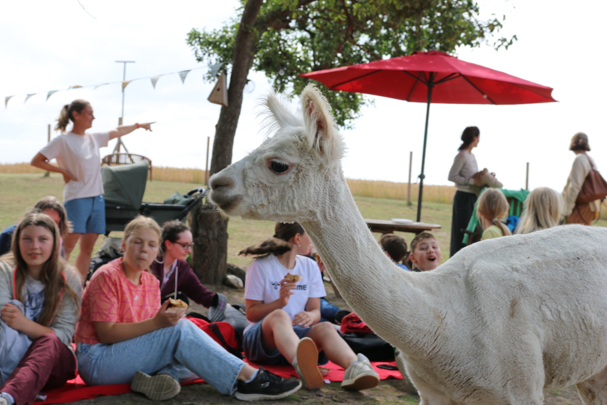 Foto: Jörg Zimmermann