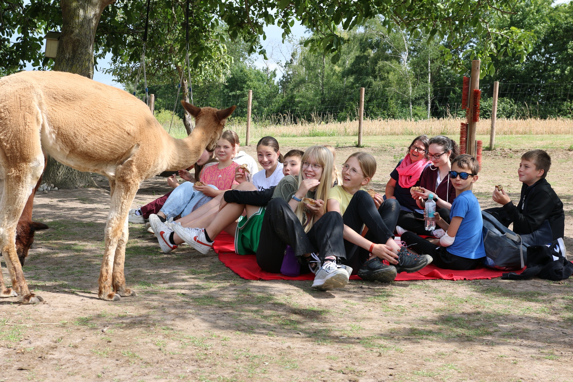 Foto: Jörg Zimmermann