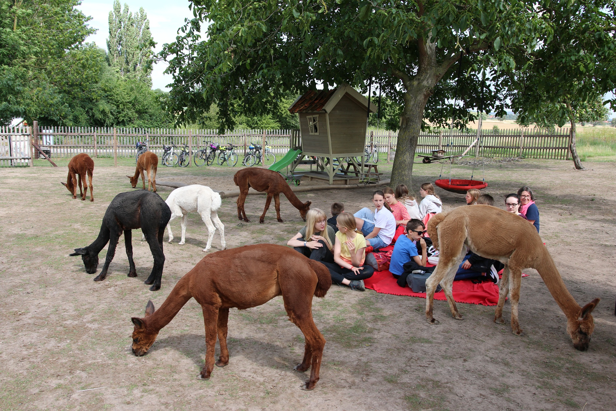 Foto: Jörg Zimmermann