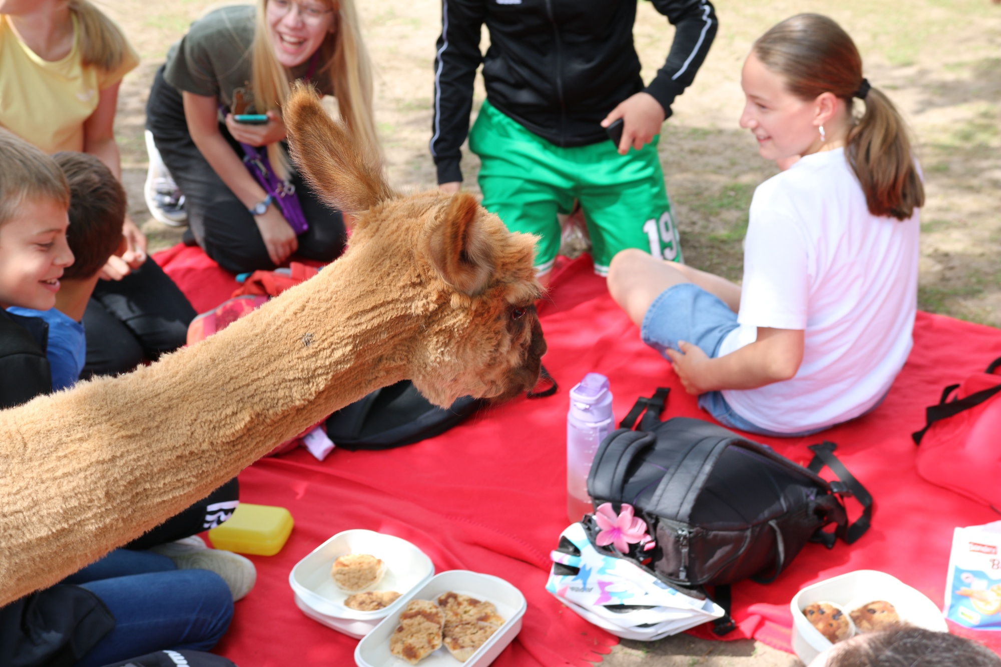 Foto: Jörg Zimmermann