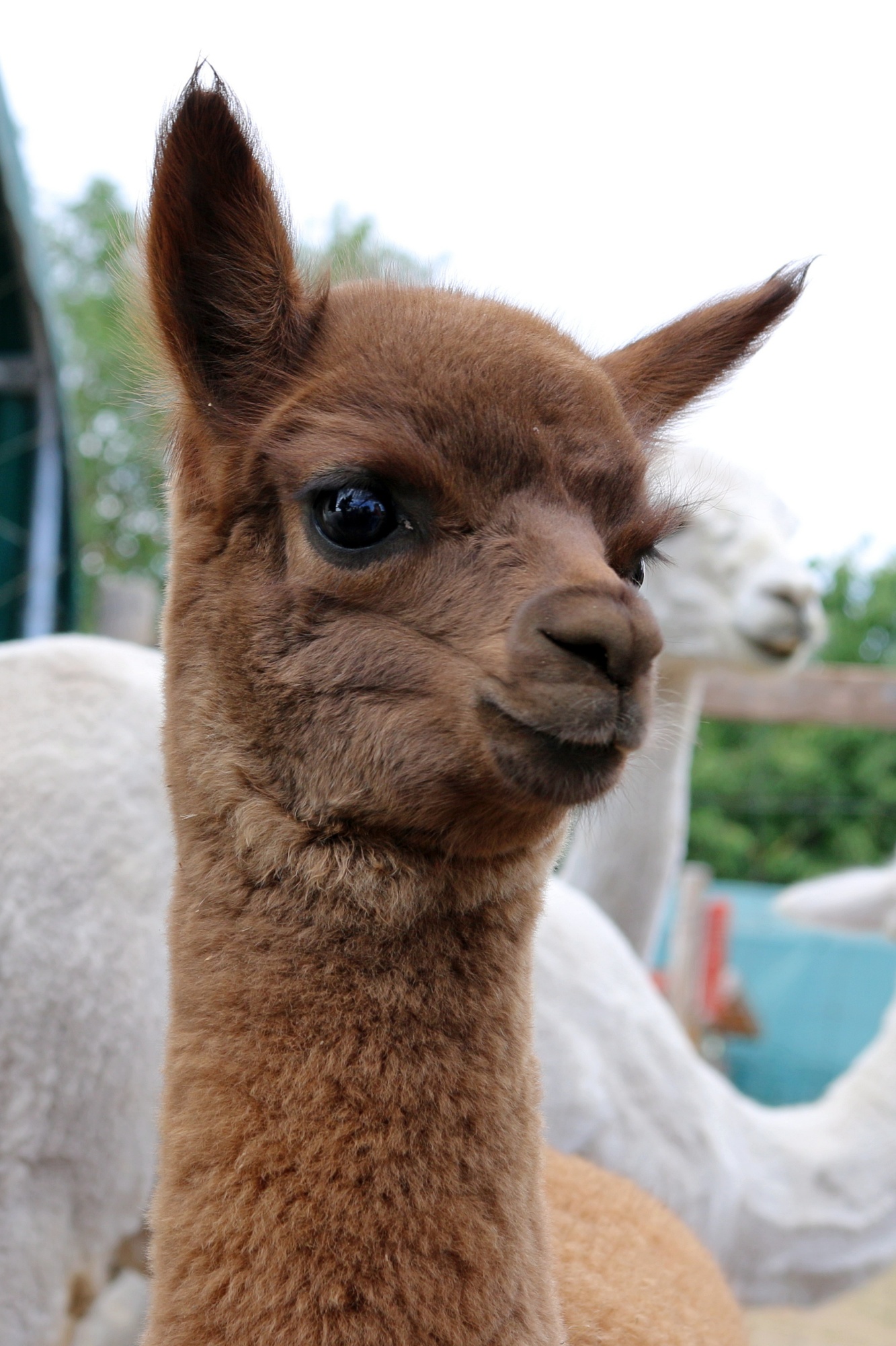 Foto: Jörg Zimmermann