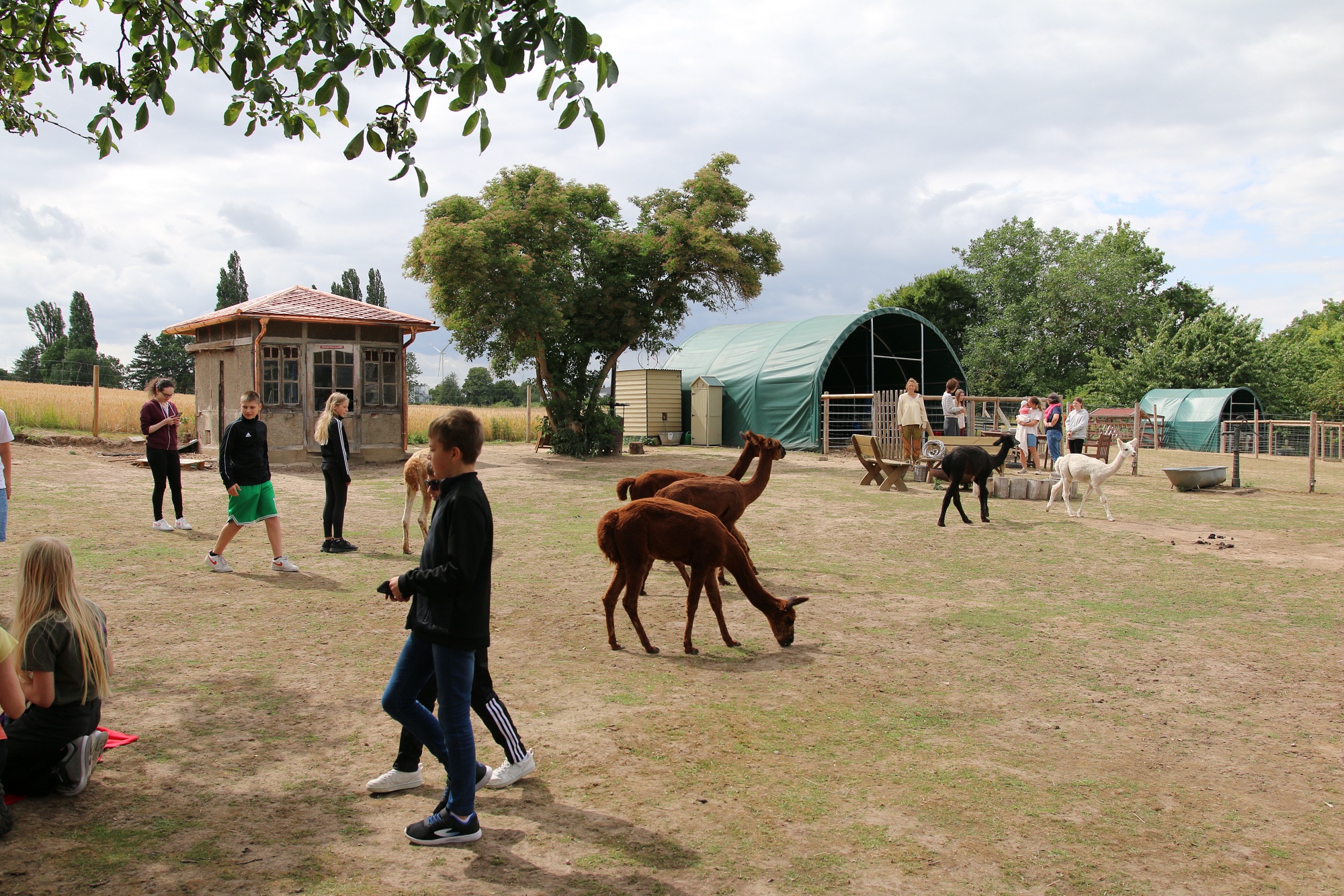 Foto: Jörg Zimmermann