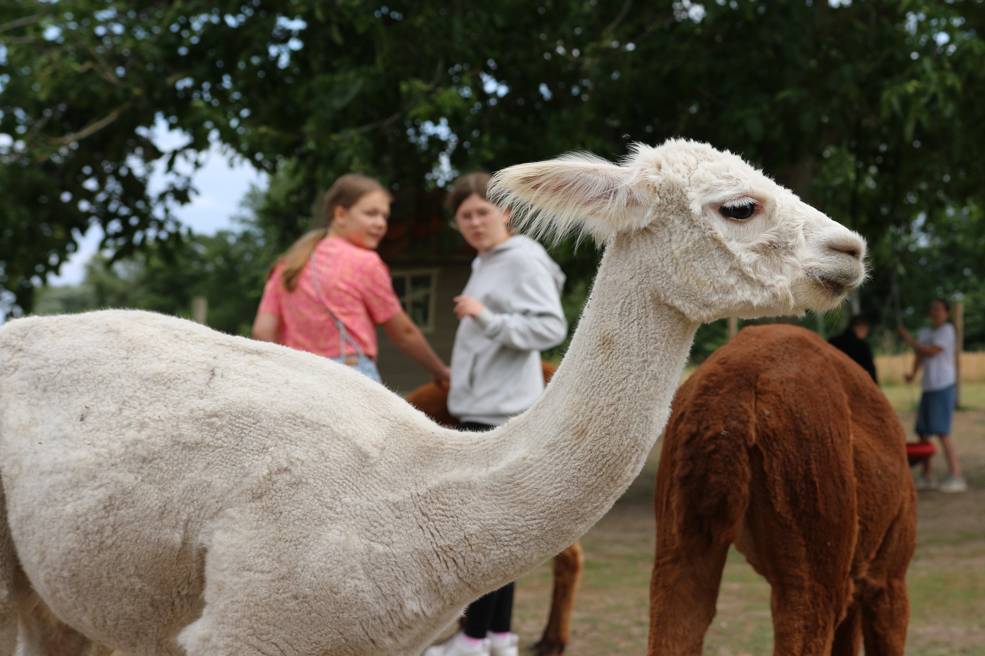 Foto: Jörg Zimmermann
