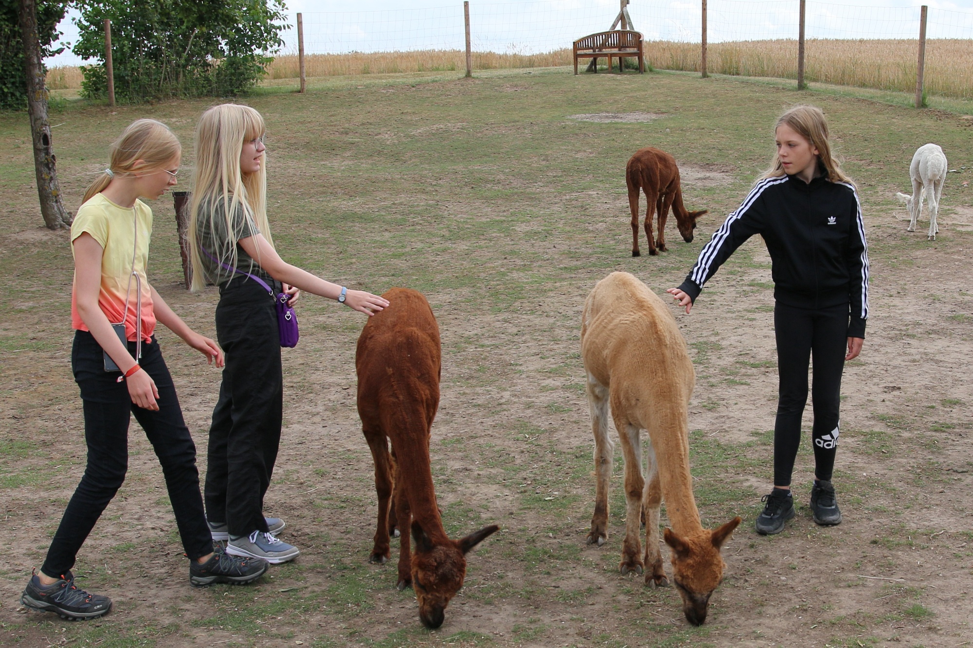 Foto: Jörg Zimmermann