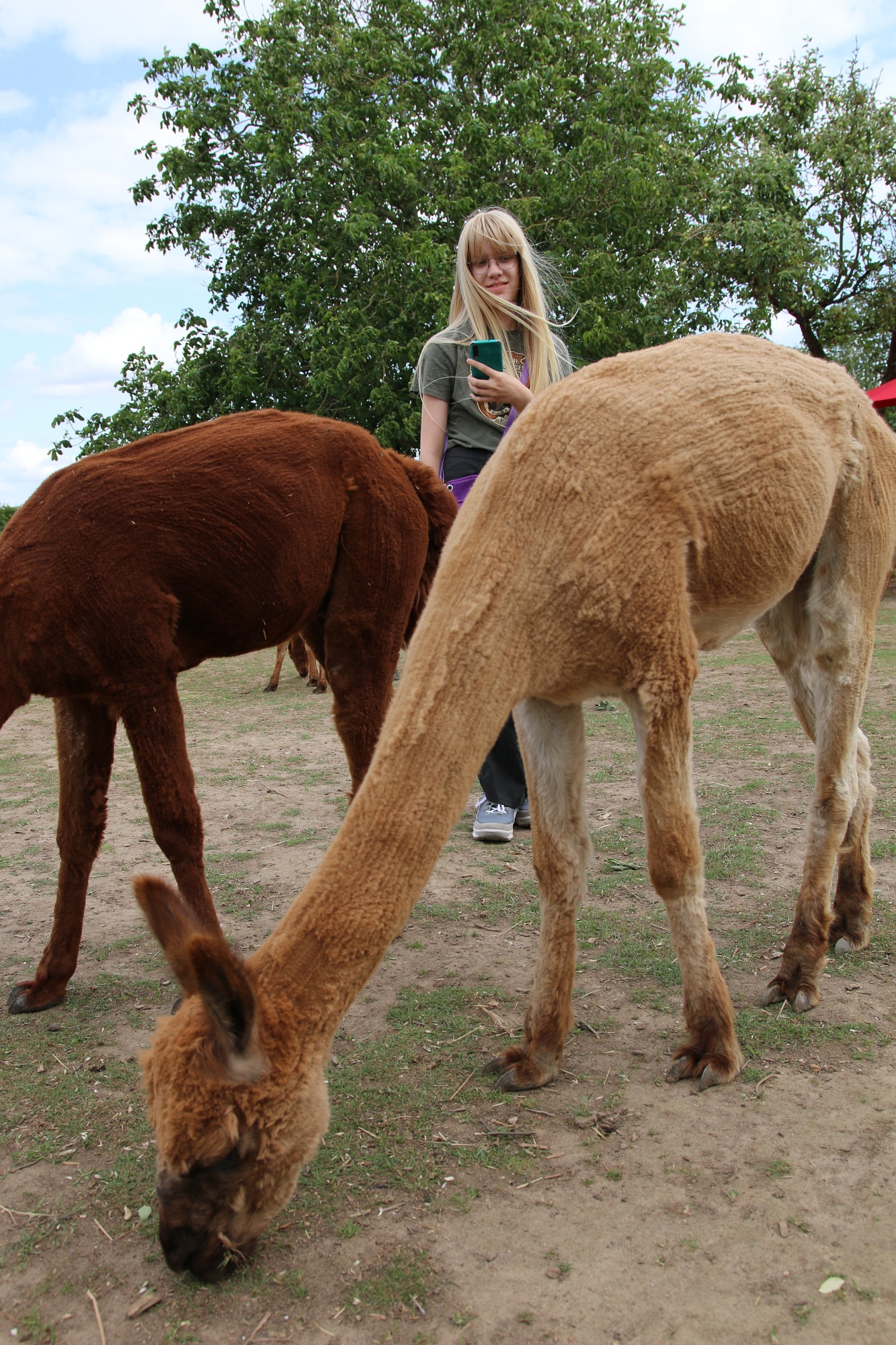 Foto: Jörg Zimmermann