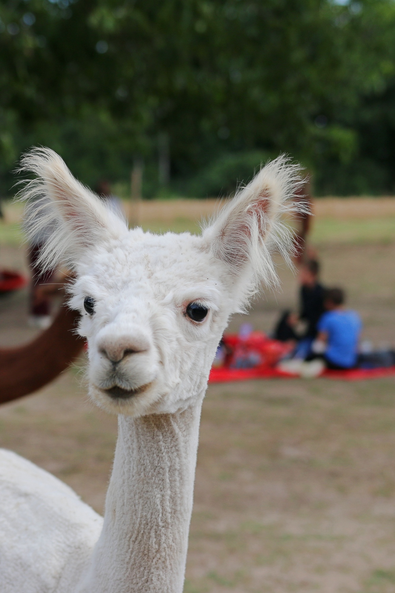 Foto: Jörg Zimmermann