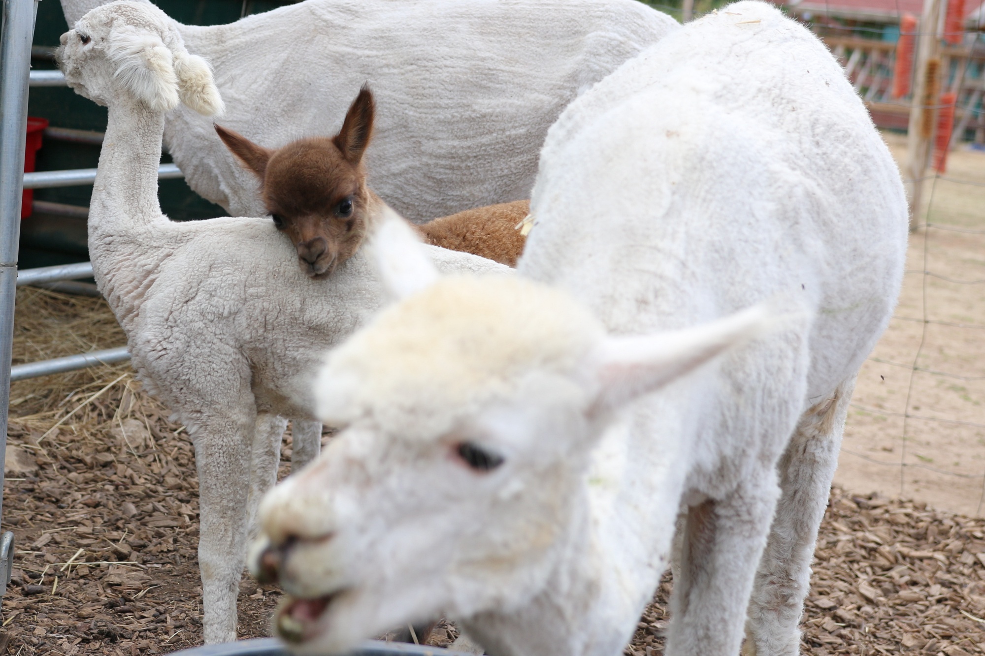 Foto: Jörg Zimmermann