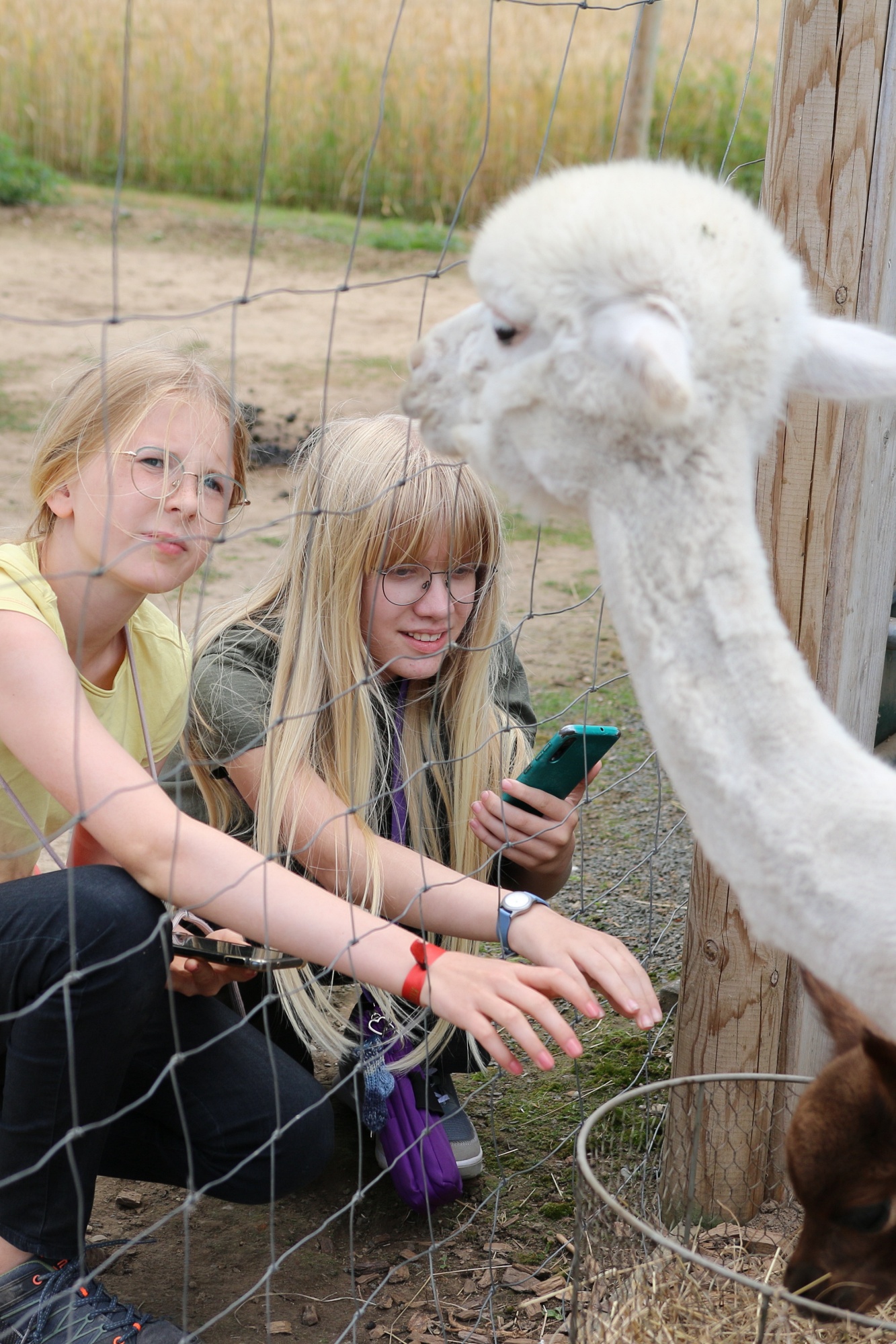 Foto: Jörg Zimmermann